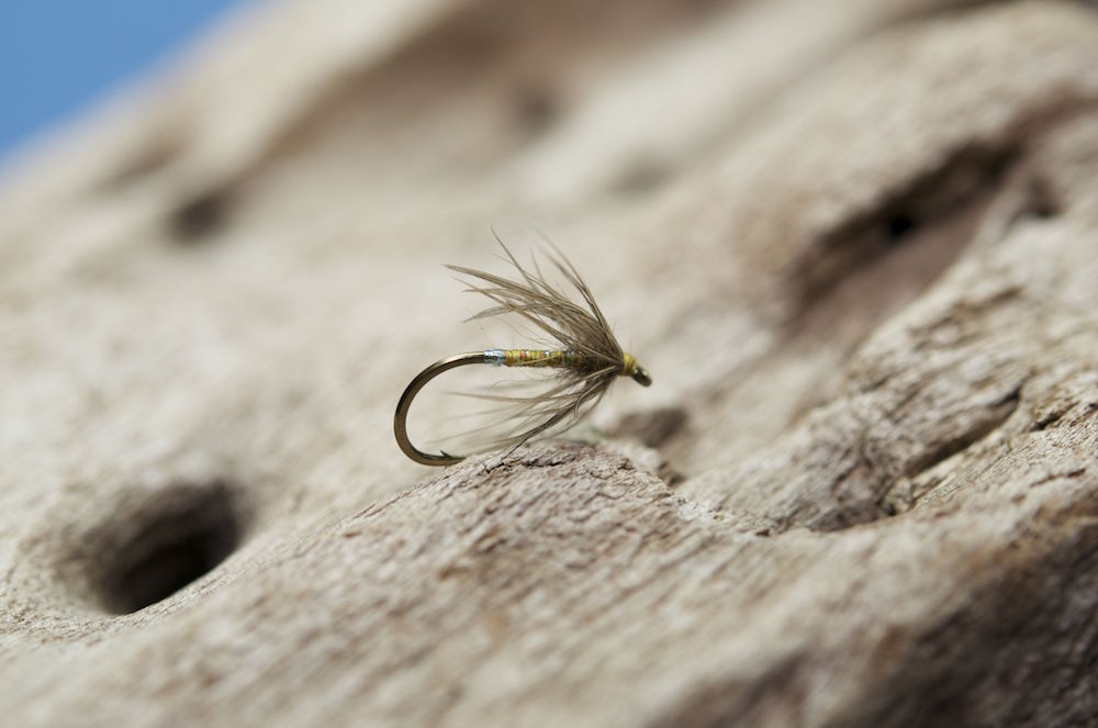 JardineC Fliege3